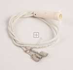 Filament Lamp - 3570031231 Control Lamp L=250 [Electrolux Aeg]