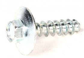 Screw - 46006726 Article [Candy Hoover]