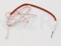 Whirlpool Indesit Spark Generator - C00255311 Electrode Assembly Cast Burner - C00255311